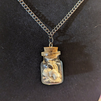 Fox Bone Fragment Jar