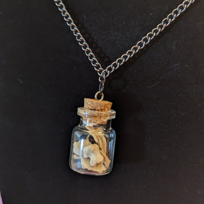 Fox Bone Fragment Jar